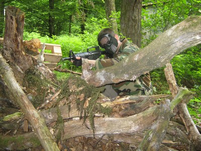 Image 15 of 21  -  56 kB